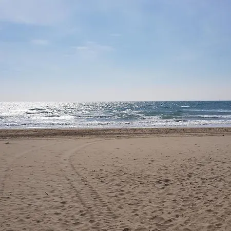 Studio Naturiste 